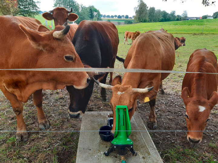 KERBL Weidepumpe P100 Duo